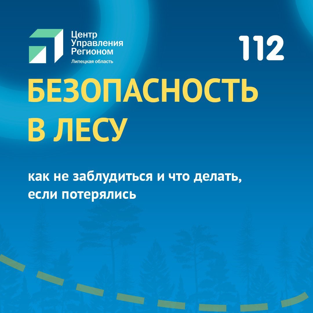 Будь аккуратнее в лесу Будь аккуратнее в лесу