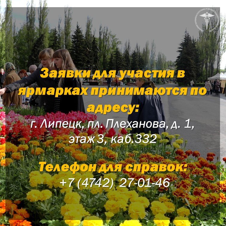 Ярмарки ждут именно вас!